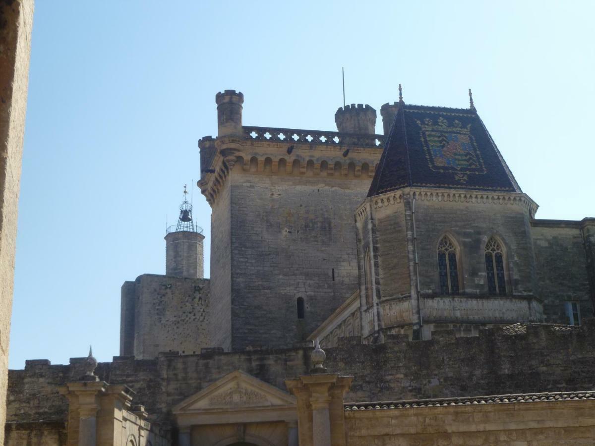Ravissant Appartement Uzès